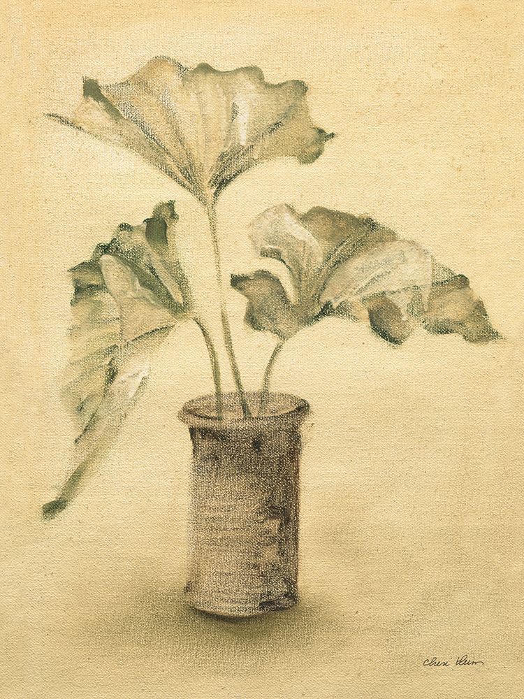 Palm II