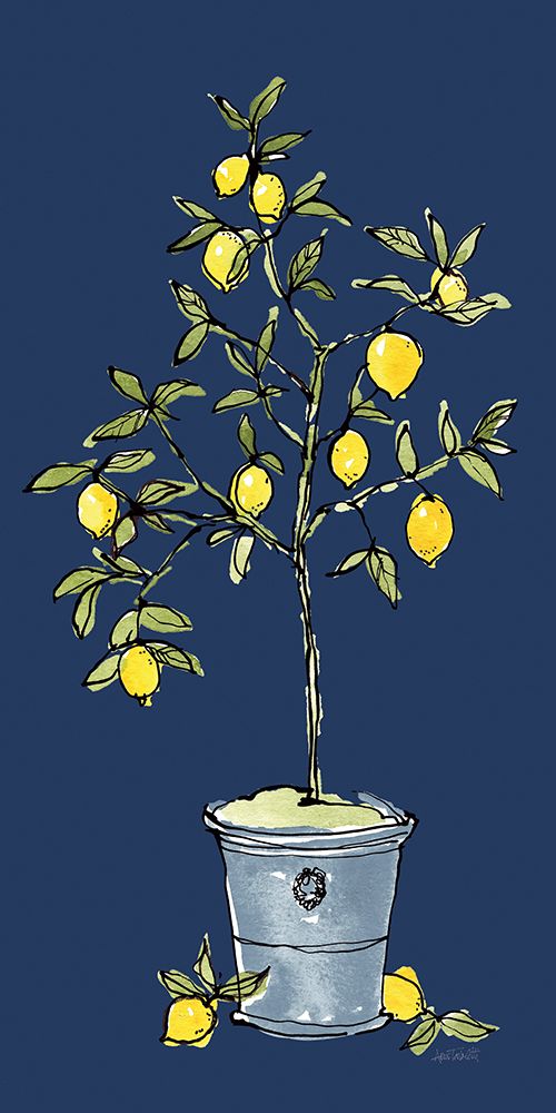 Citron V Navy