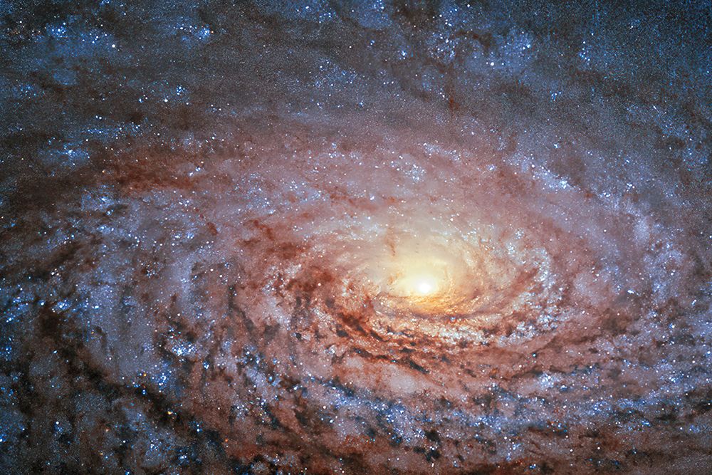 Galactic Sunflower
