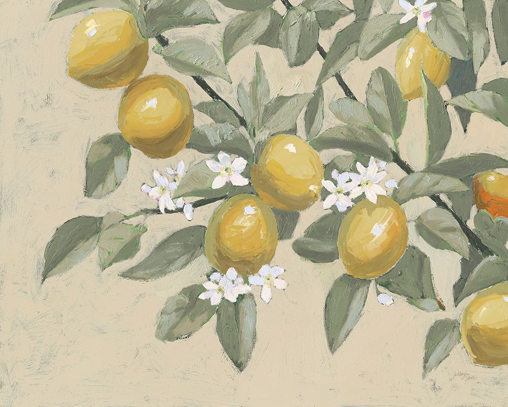 Lemon Branch Neutral