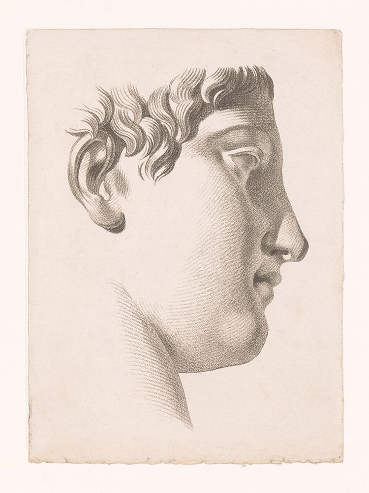Beautiful Busts I