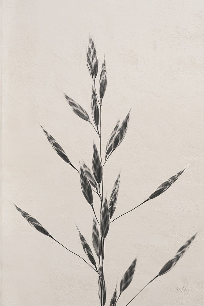 Wheat Grass II
