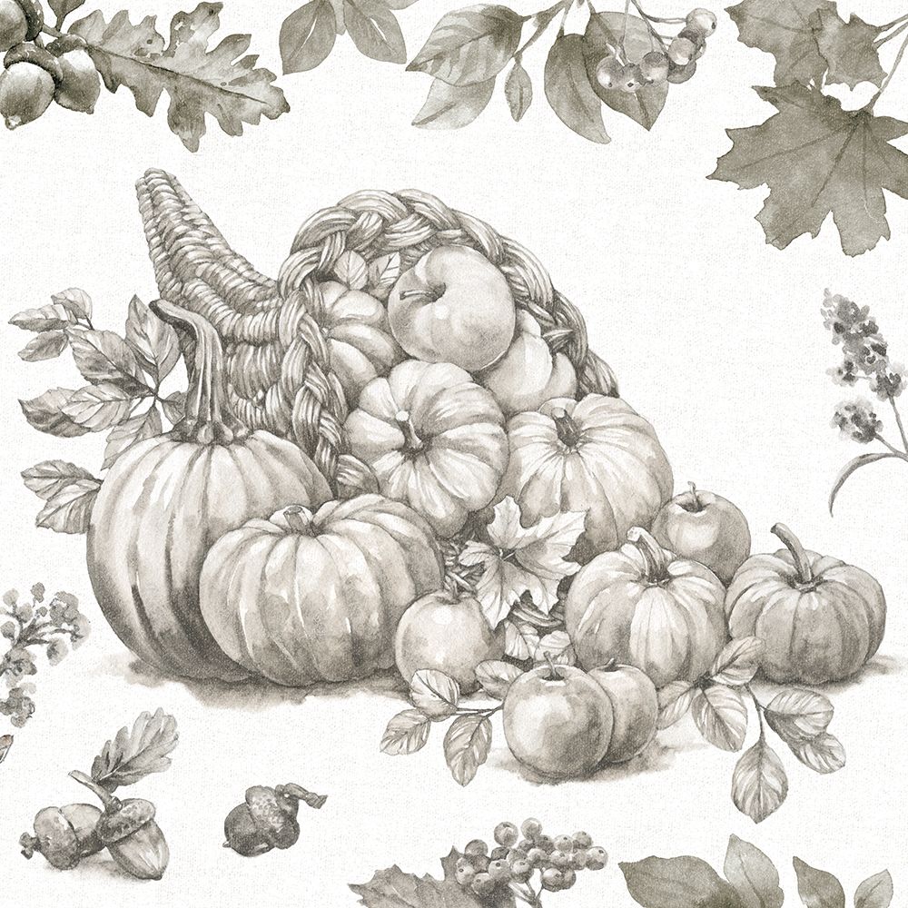 Bountiful Harvest III Sketch