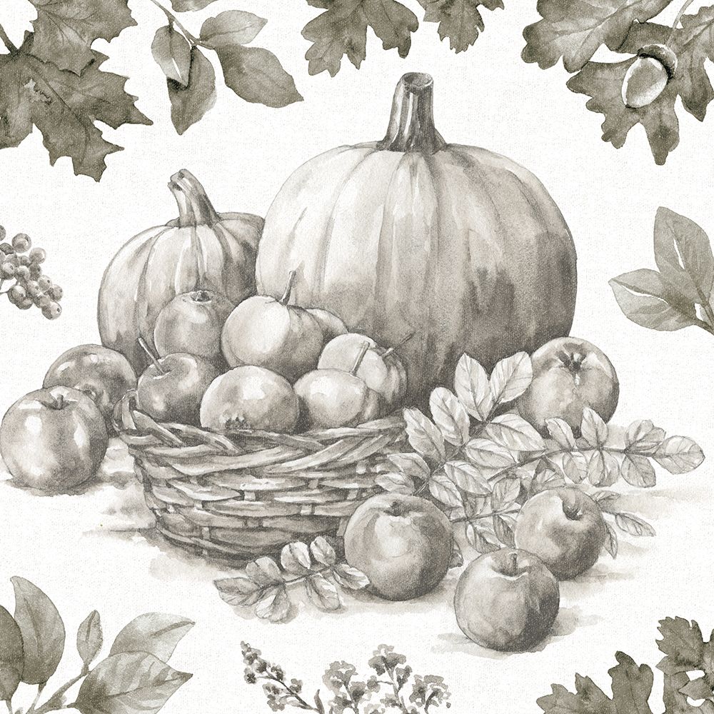 Bountiful Harvest IV Sketch