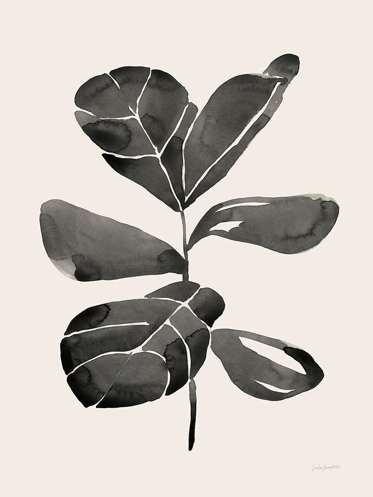 Fiddle Leaf III Cream