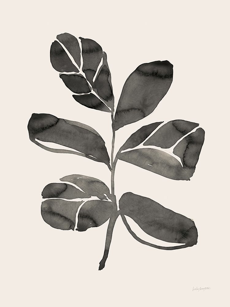 Fiddle Leaf IV Cream