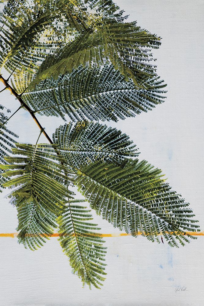 Palm Branch
