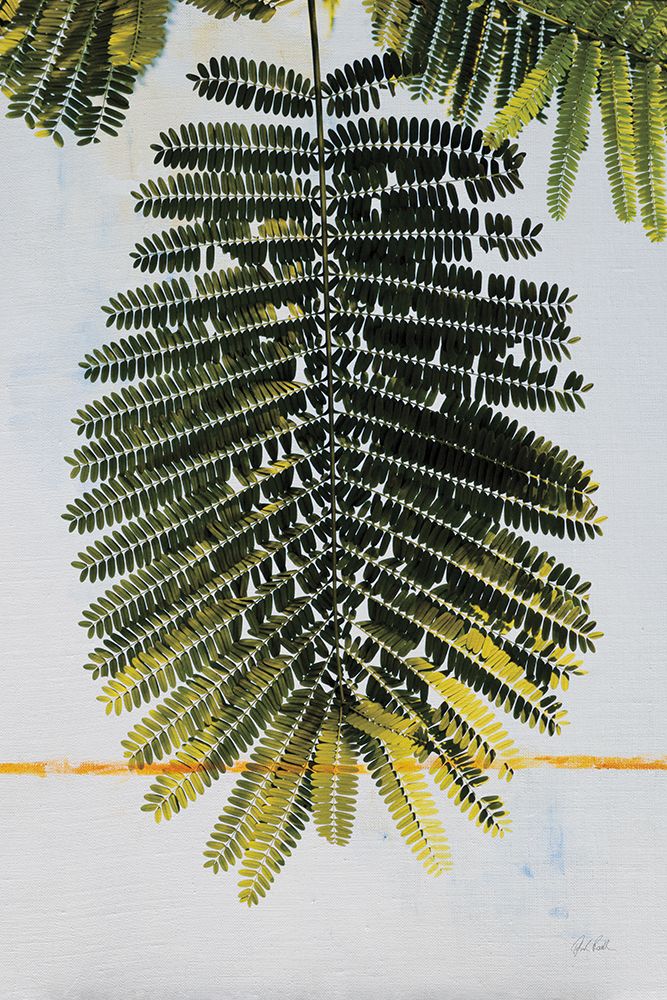 Single Palm