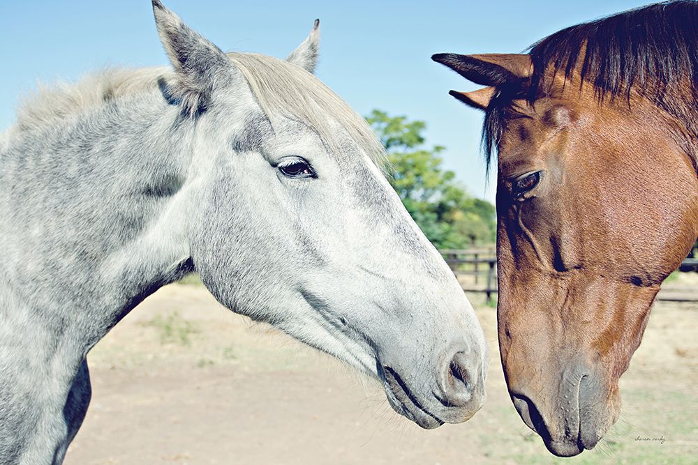Two Horses