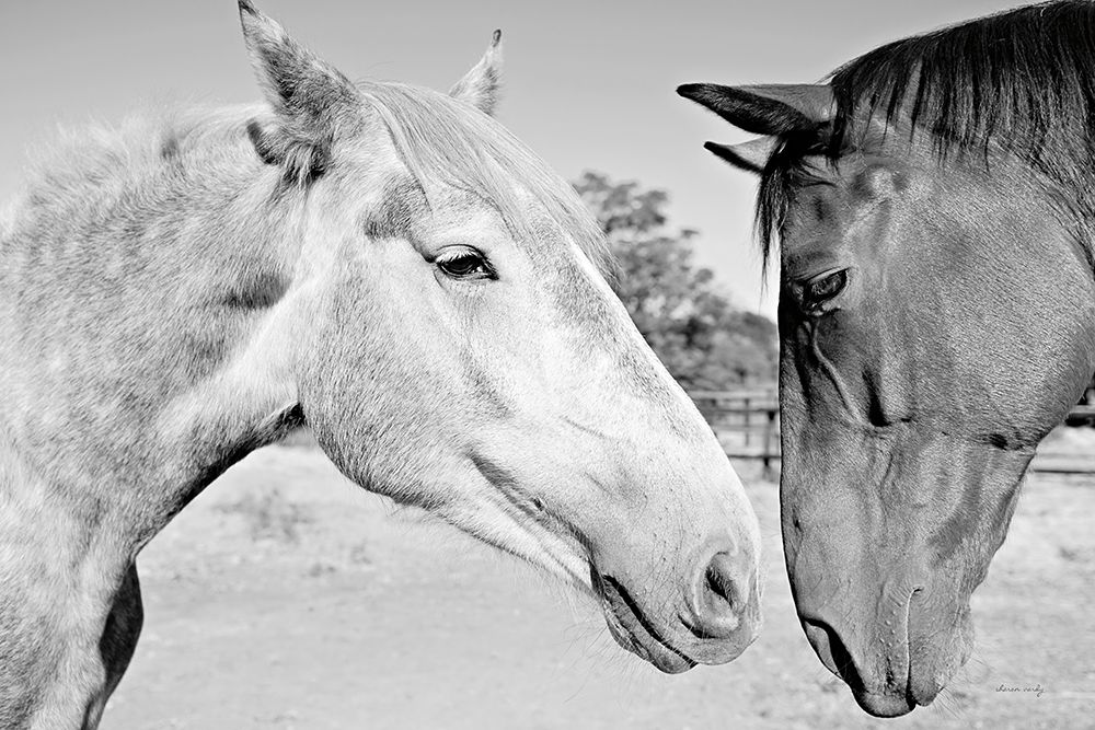 Two Horses BW