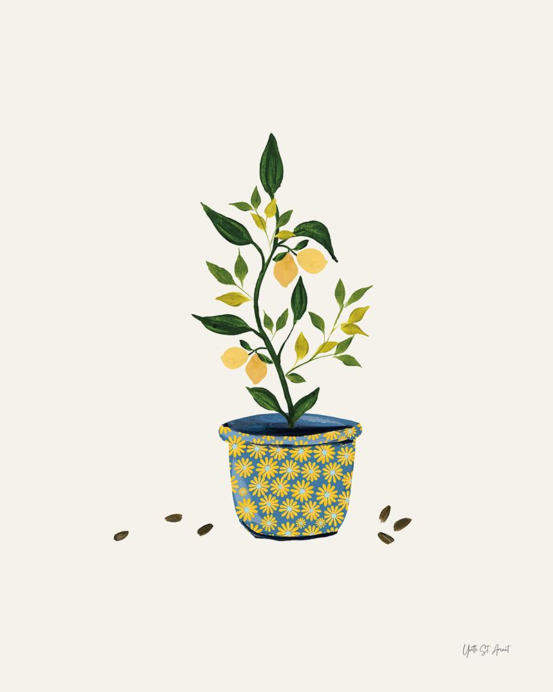 Summer Garden II
