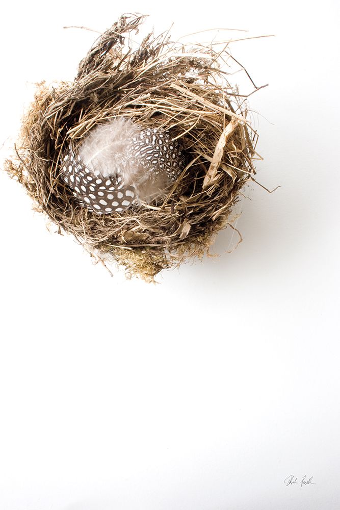 Empty Nest