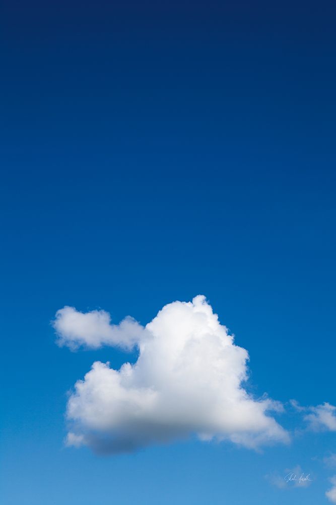 Heart Cloud