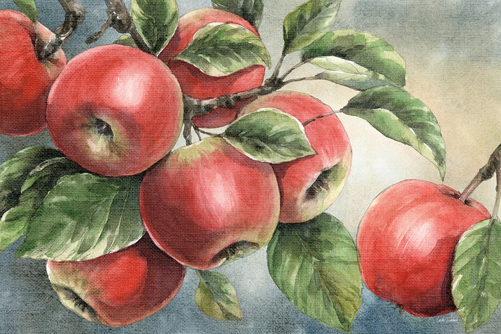 Wild Apples