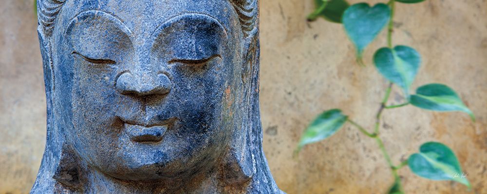 Buddha Close Up