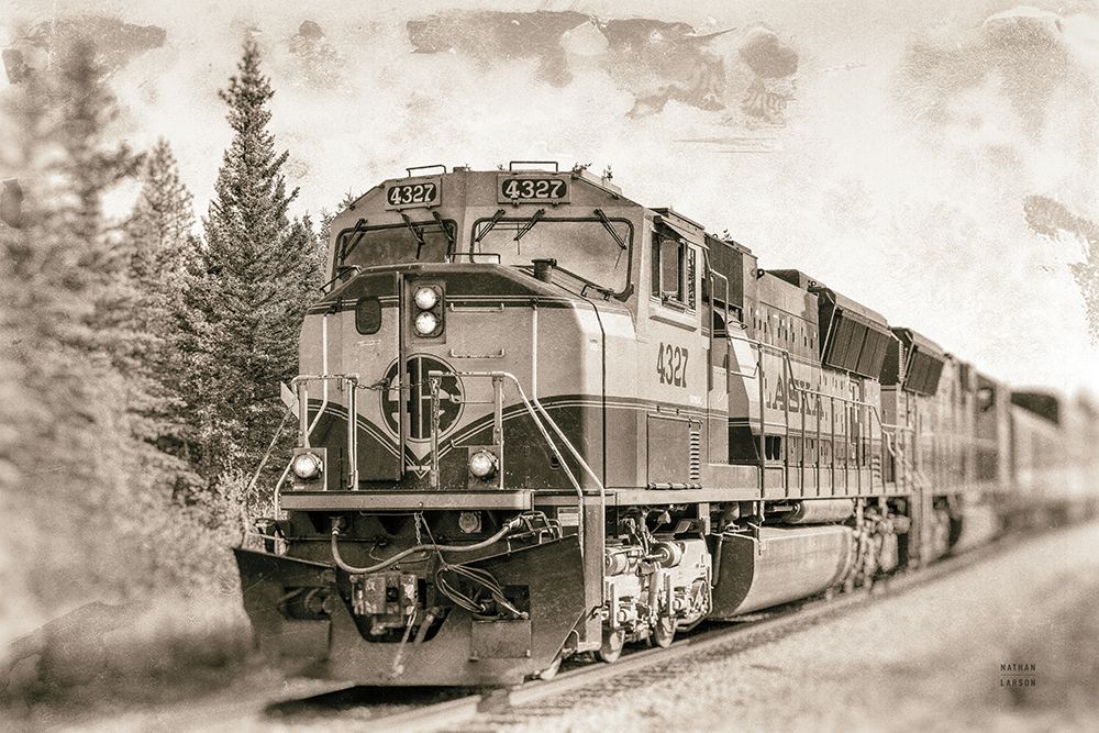 Alaskan Railroad in Denali