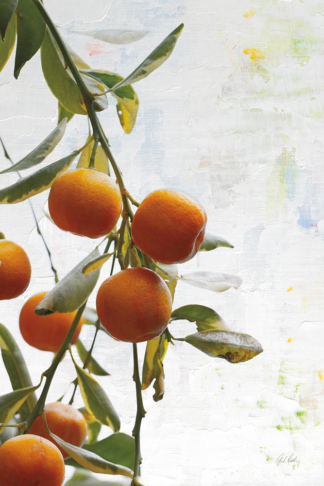 Oranges III