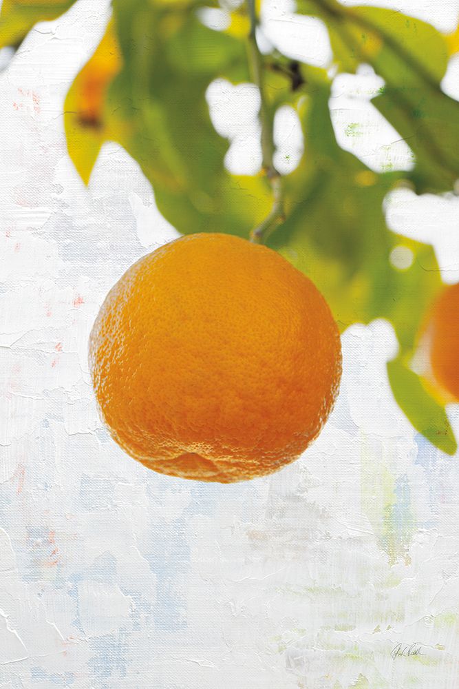 Single Orange