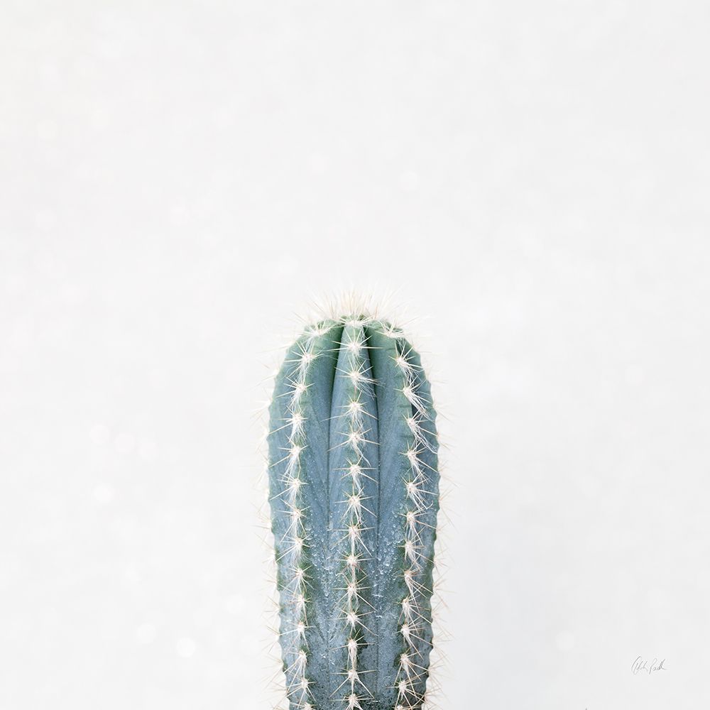 Desert Treasures III