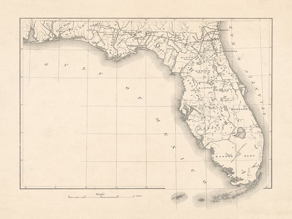 Vintage Florida Map