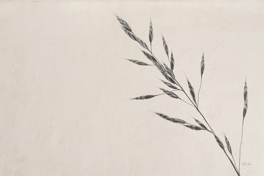 Wheat Grass III