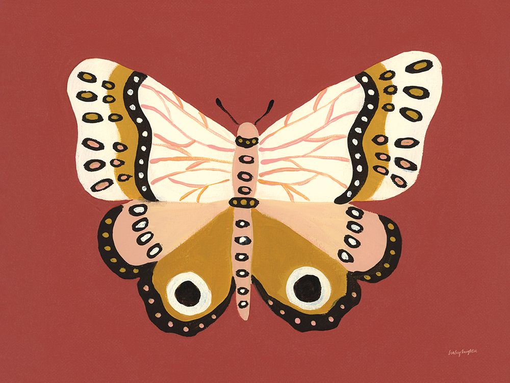 Cinnamon Butterfly