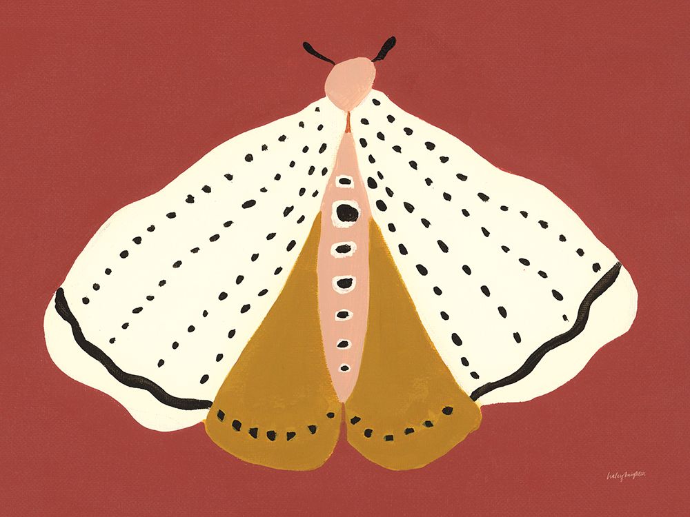 Cinnamon Moth
