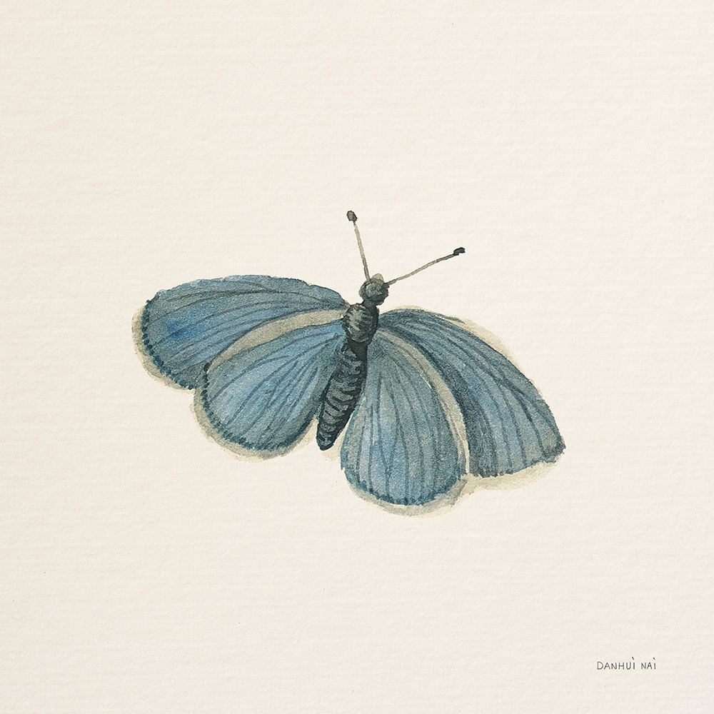 Honeybloom Butterfly I
