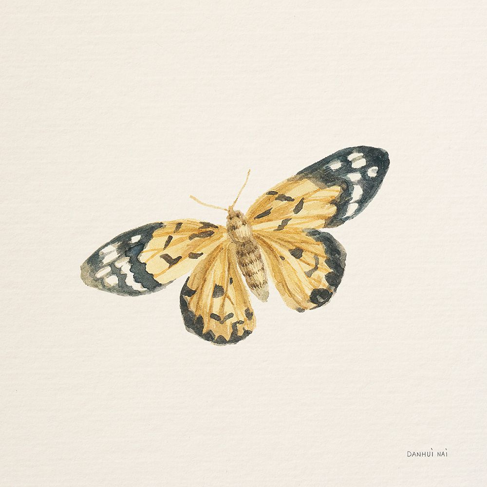 Honeybloom Butterfly II