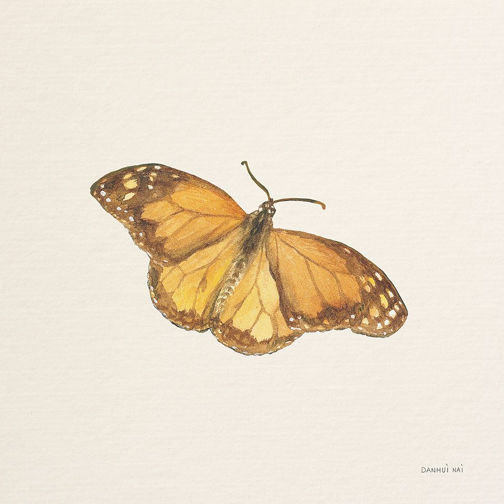 Honeybloom Butterfly III