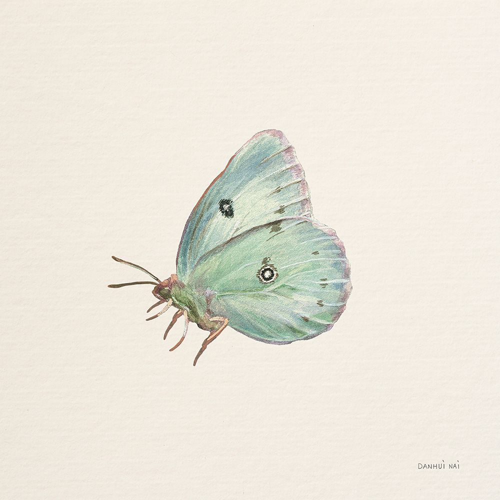 Honeybloom Butterfly IV