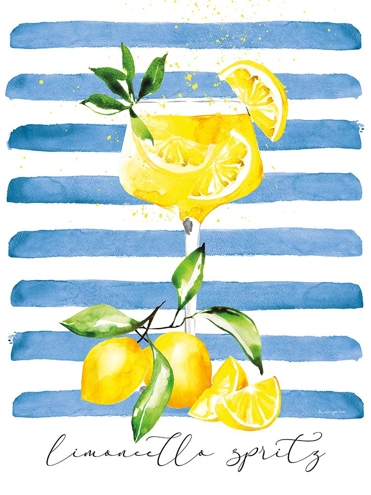 Mediterranean Spritz I