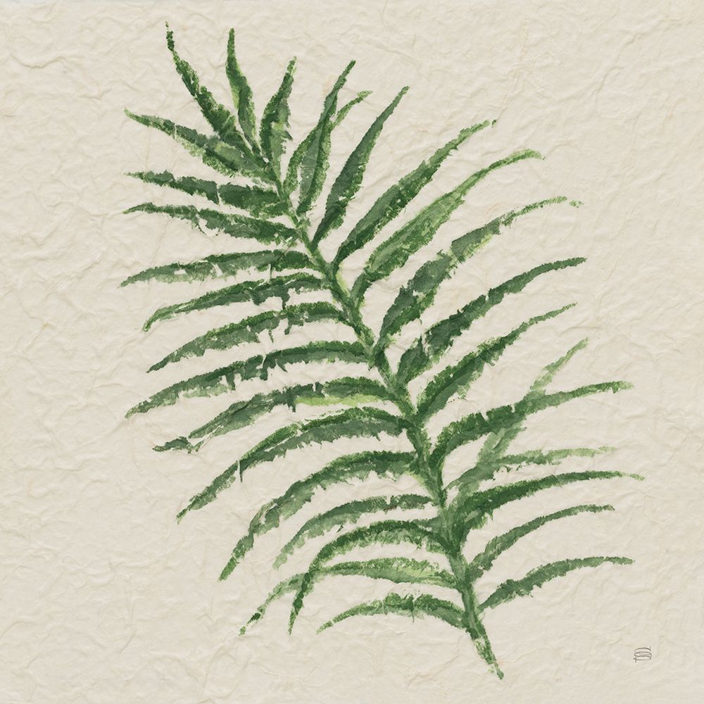 Kozo Fern VII