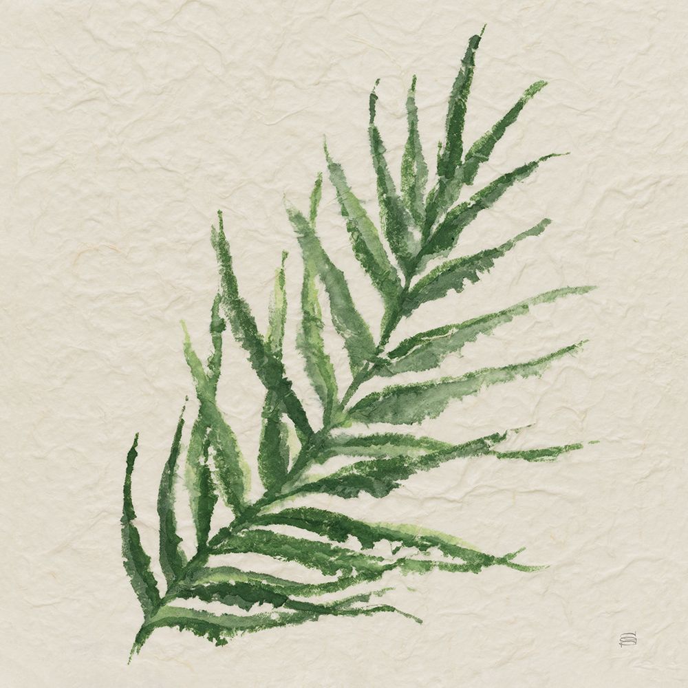Kozo Fern VIII