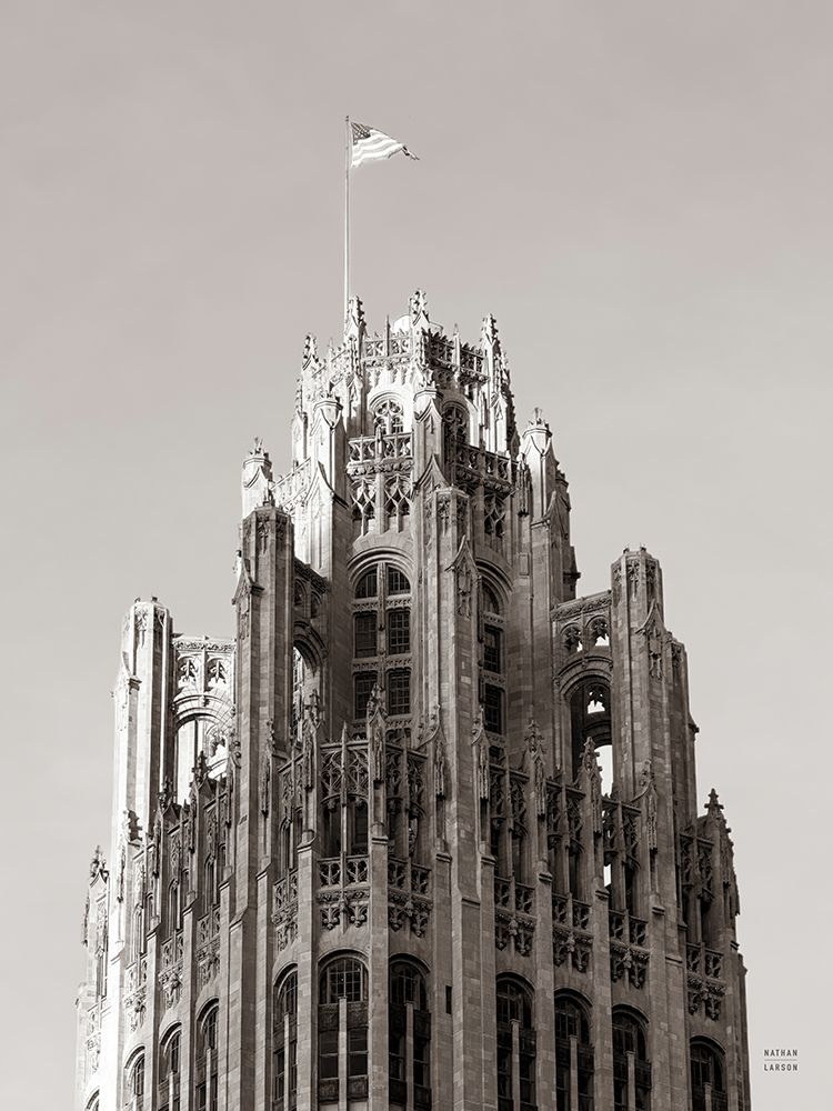 Chicago Skyline VIII