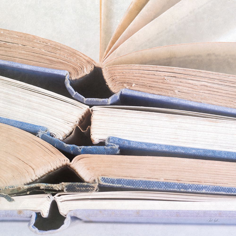 Livres Bleu