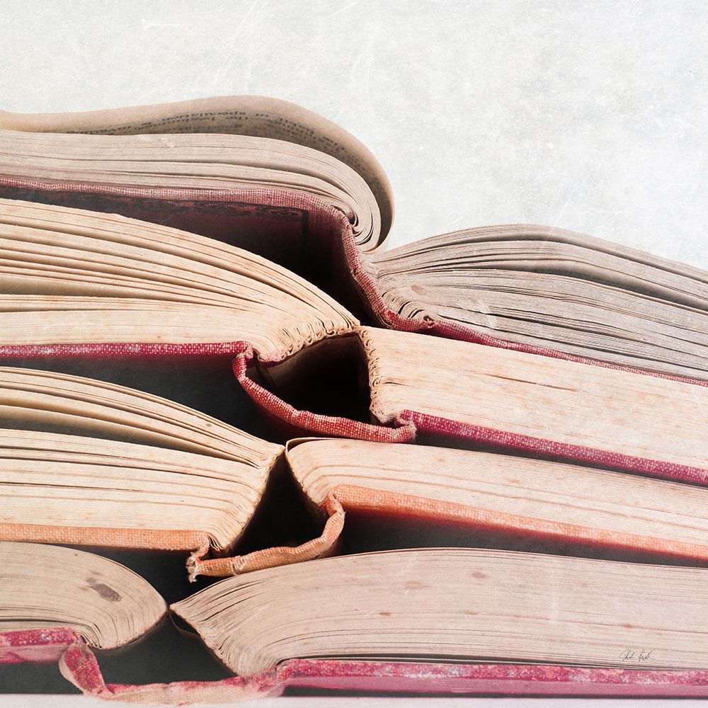 Livres Rouge