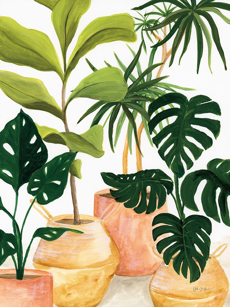 Potted Plants