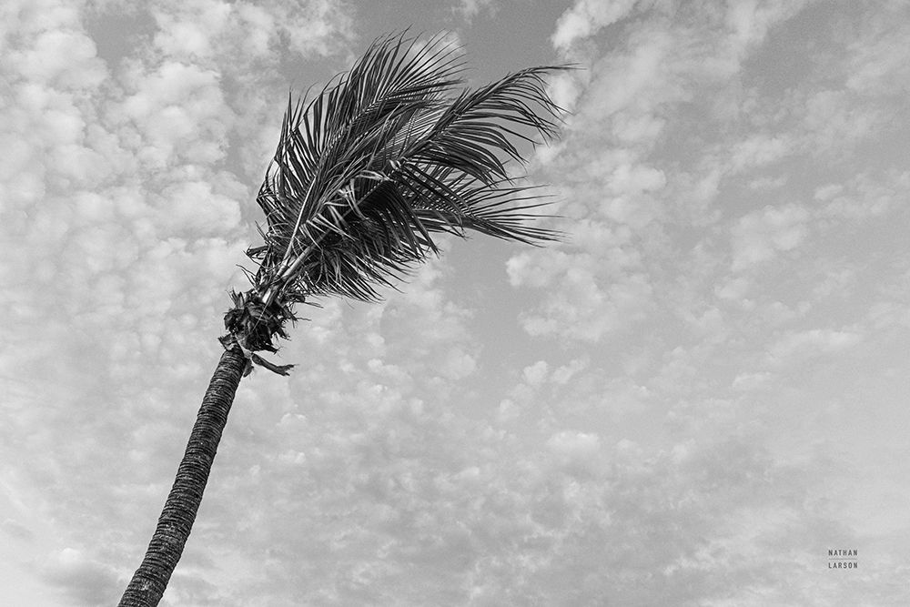 Key West Black and White