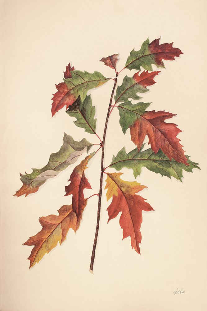 Fall Leaves I Muted