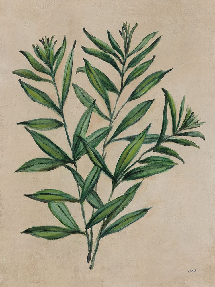 Herbal IV