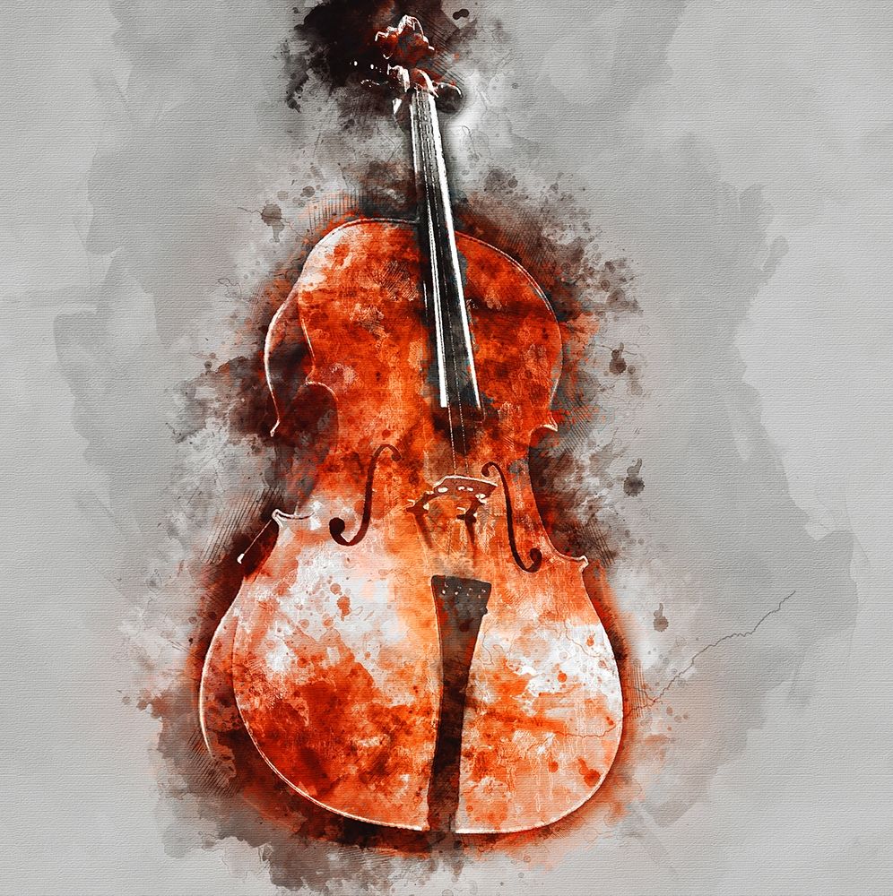 Violin