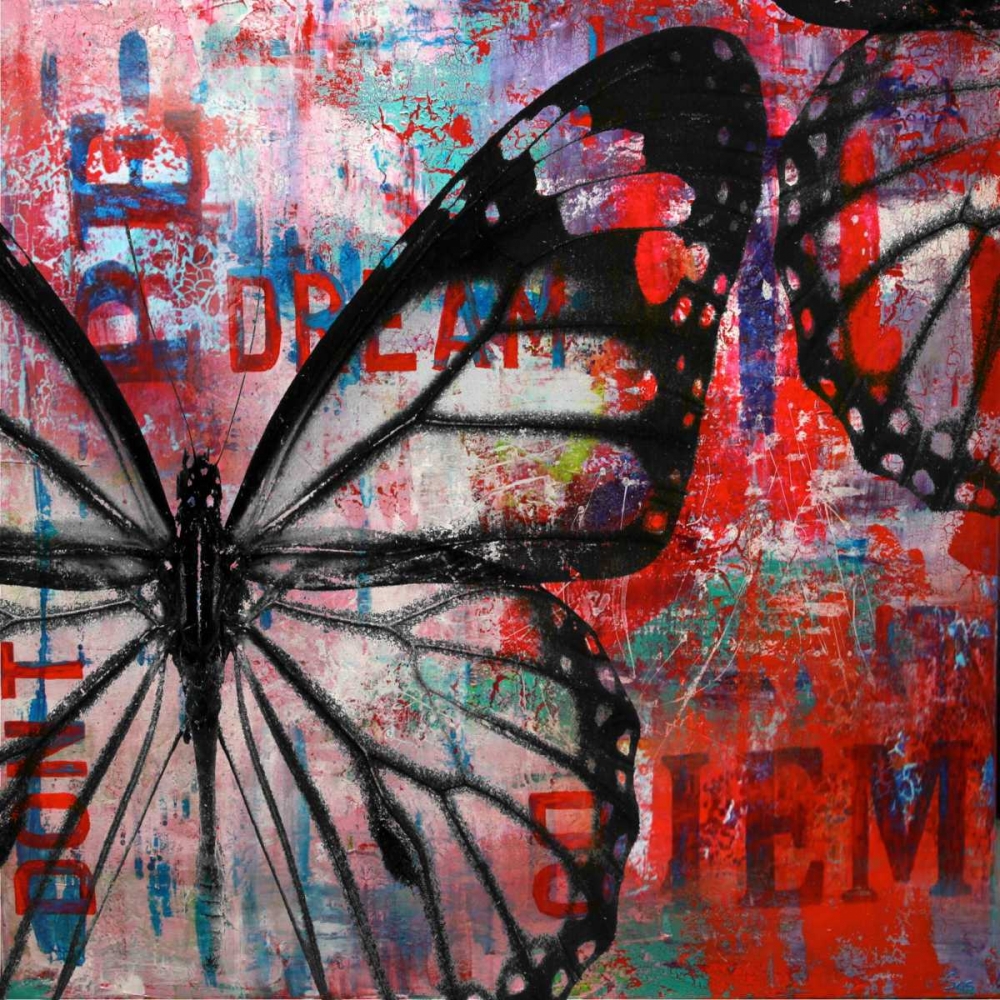Butterfly IV