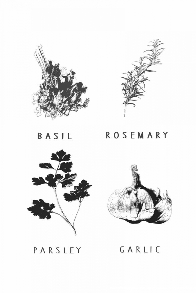 Kitchen herbs