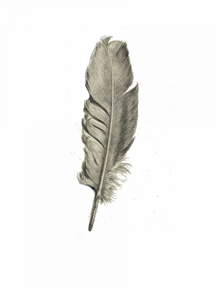 Feather I