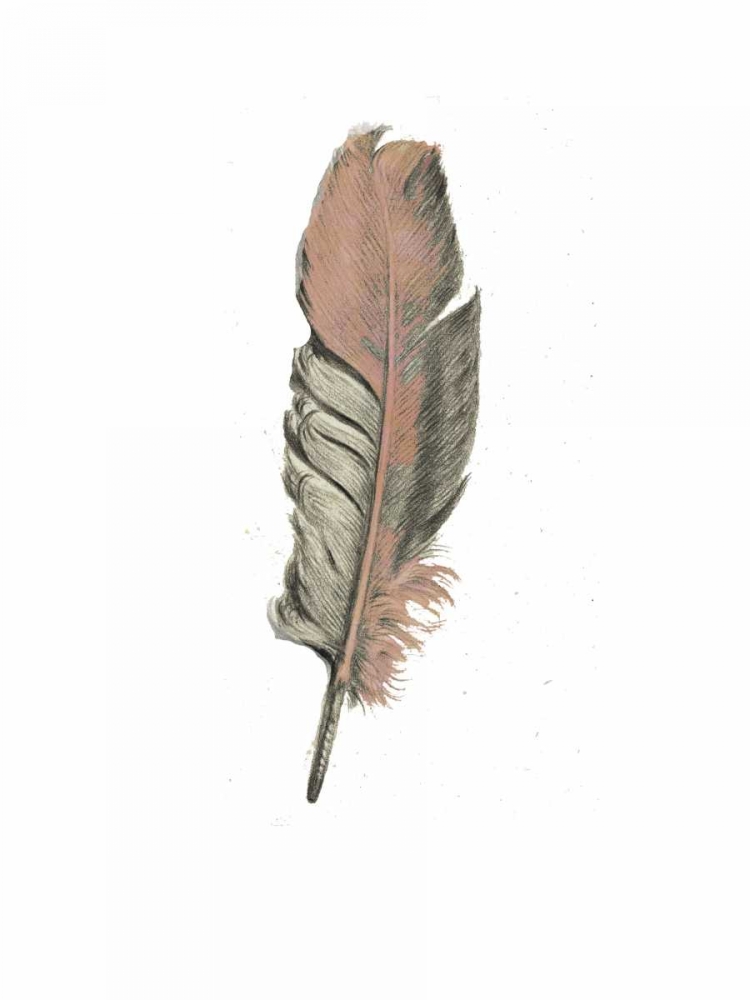 Feather II