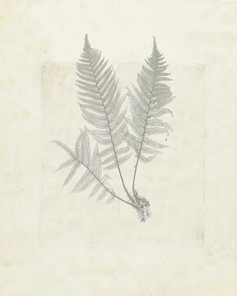 Leaf soft