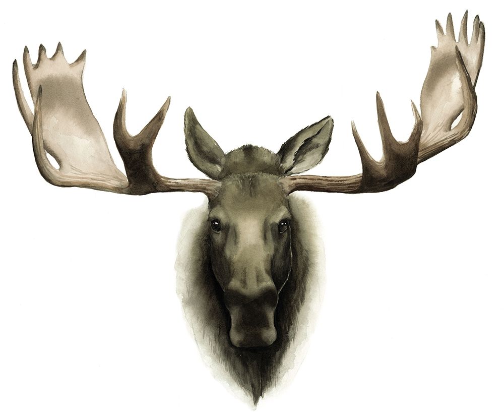 Custom Single Moose