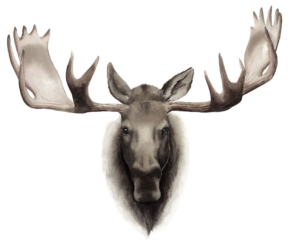 Custom Single Moose