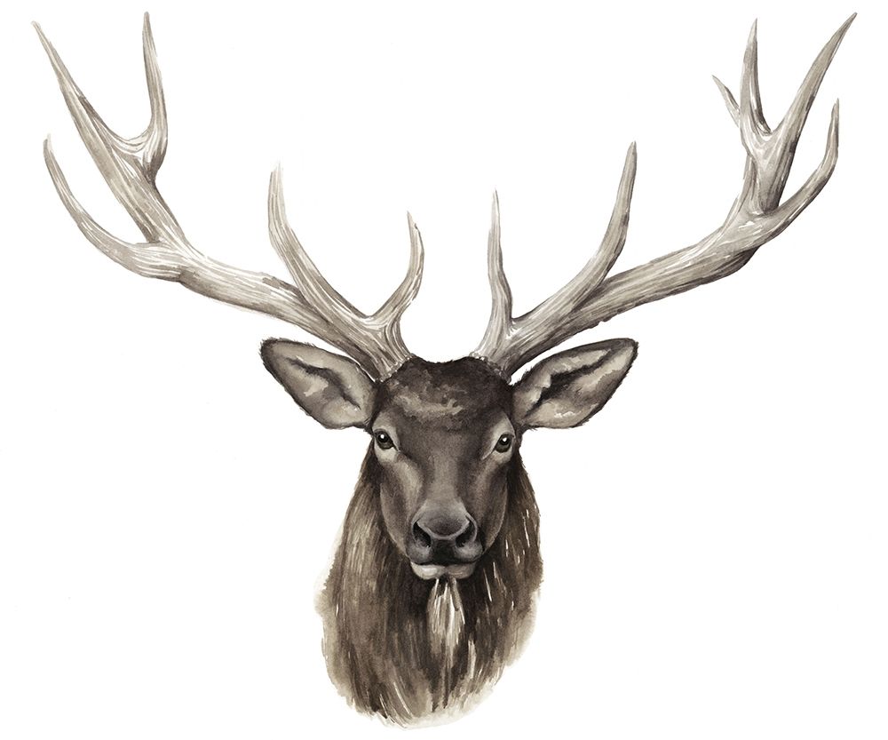 Custom Single Elk